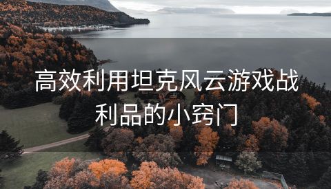 高效利用坦克风云游戏战利品的小窍门