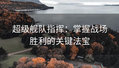 超级舰队指挥：掌握战场胜利的关键法宝