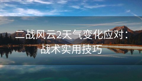 二战风云2天气变化应对：战术实用技巧