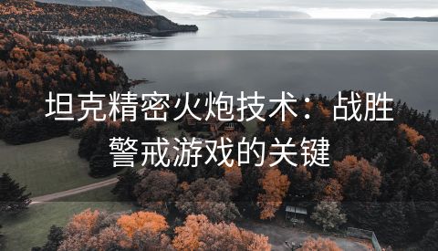 坦克精密火炮技术：战胜警戒游戏的关键