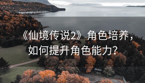 《仙境传说2》角色培养，如何提升角色能力？