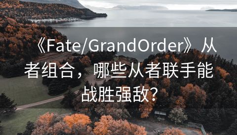 《Fate/GrandOrder》从者组合，哪些从者联手能战胜强敌？