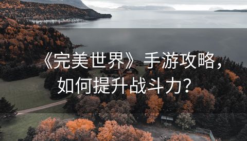 《完美世界》手游攻略，如何提升战斗力？