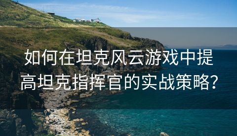 如何在坦克风云游戏中提高坦克指挥官的实战策略？