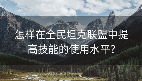 怎样在全民坦克联盟中提高技能的使用水平？