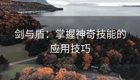 剑与盾：掌握神奇技能的应用技巧