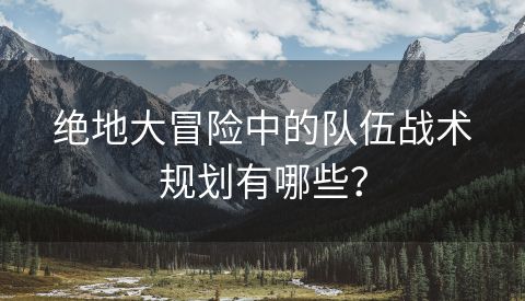 绝地大冒险中的队伍战术规划有哪些？