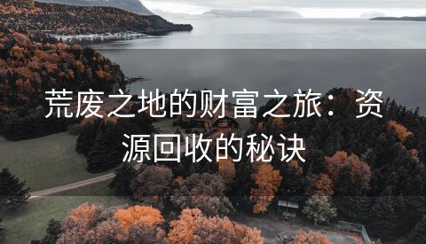 荒废之地的财富之旅：资源回收的秘诀