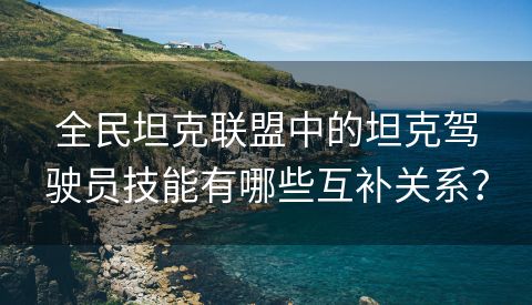 全民坦克联盟中的坦克驾驶员技能有哪些互补关系？