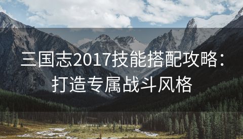 三国志2017技能搭配攻略：打造专属战斗风格