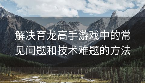 解决育龙高手游戏中的常见问题和技术难题的方法