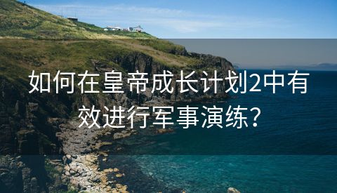 如何在皇帝成长计划2中有效进行军事演练？