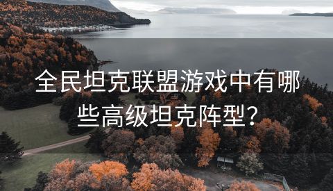 全民坦克联盟游戏中有哪些高级坦克阵型？