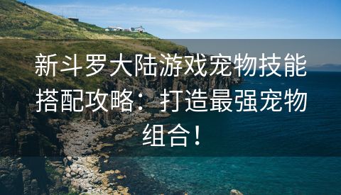 新斗罗大陆游戏宠物技能搭配攻略：打造最强宠物组合！