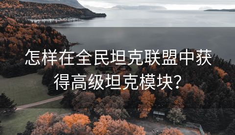 怎样在全民坦克联盟中获得高级坦克模块？