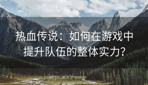 热血传说：如何在游戏中提升队伍的整体实力？