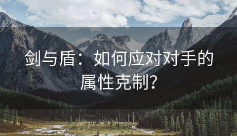 剑与盾：如何应对对手的属性克制？