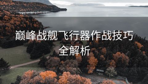 巅峰战舰飞行器作战技巧全解析