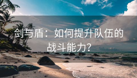 剑与盾：如何提升队伍的战斗能力？