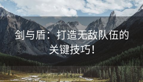 剑与盾：打造无敌队伍的关键技巧！