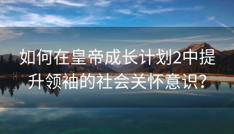 如何在皇帝成长计划2中提升领袖的社会关怀意识？