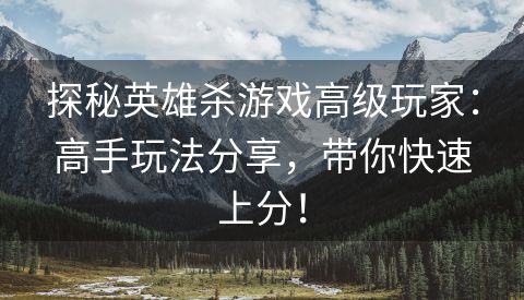 探秘英雄杀游戏高级玩家：高手玩法分享，带你快速上分！