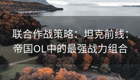 联合作战策略：坦克前线：帝国OL中的最强战力组合