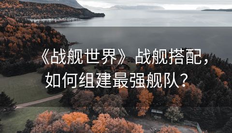 《战舰世界》战舰搭配，如何组建最强舰队？