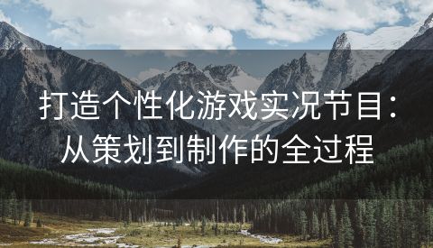 打造个性化游戏实况节目：从策划到制作的全过程