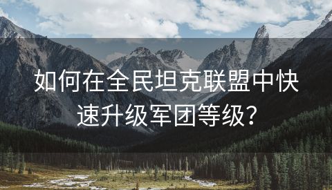 如何在全民坦克联盟中快速升级军团等级？