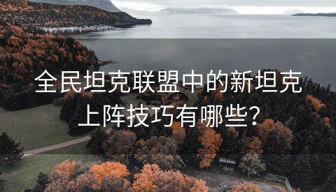 全民坦克联盟中的新坦克上阵技巧有哪些？