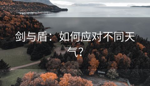 剑与盾：如何应对不同天气？