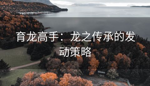 育龙高手：龙之传承的发动策略