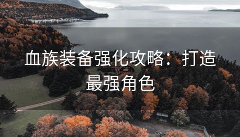 血族装备强化攻略：打造最强角色