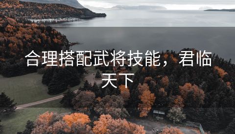 合理搭配武将技能，君临天下