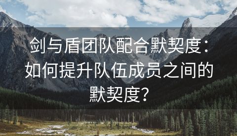 剑与盾团队配合默契度：如何提升队伍成员之间的默契度？