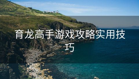 育龙高手游戏攻略实用技巧