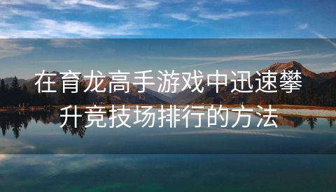 在育龙高手游戏中迅速攀升竞技场排行的方法