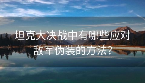 坦克大决战中有哪些应对敌军伪装的方法？