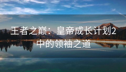 王者之巅：皇帝成长计划2中的领袖之道