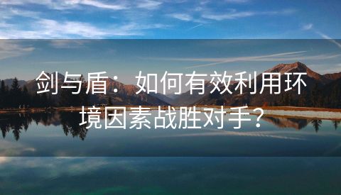 剑与盾：如何有效利用环境因素战胜对手？