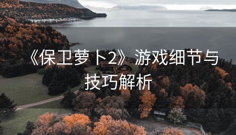  《保卫萝卜2》游戏细节与技巧解析