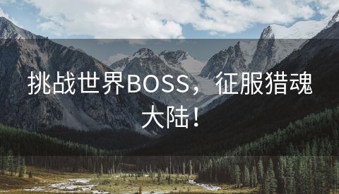 挑战世界BOSS，征服猎魂大陆！