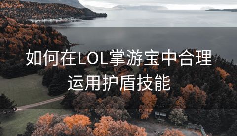 如何在LOL掌游宝中合理运用护盾技能