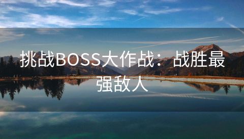 挑战BOSS大作战：战胜最强敌人