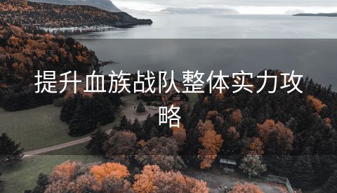 提升血族战队整体实力攻略