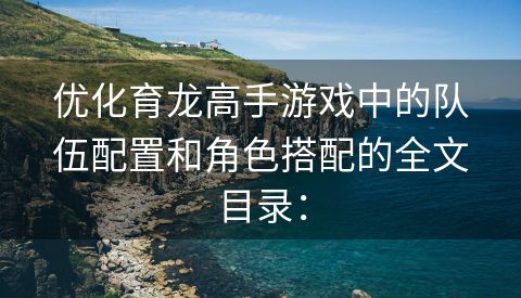 优化育龙高手游戏中的队伍配置和角色搭配的全文目录：