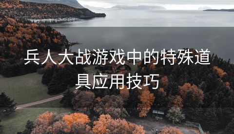 兵人大战游戏中的特殊道具应用技巧