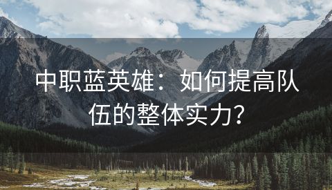 中职蓝英雄：如何提高队伍的整体实力？