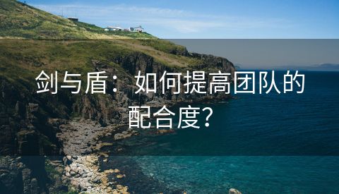 剑与盾：如何提高团队的配合度？